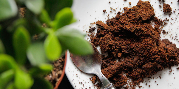 Ce să faceți cu cafeaua folosită? Sfaturi interesante