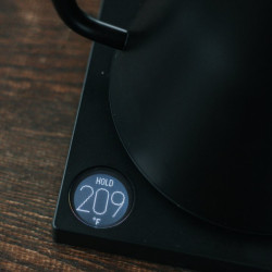 Fellow Stagg EKG Smoke green + Maple | ceainic electric Gooseneck